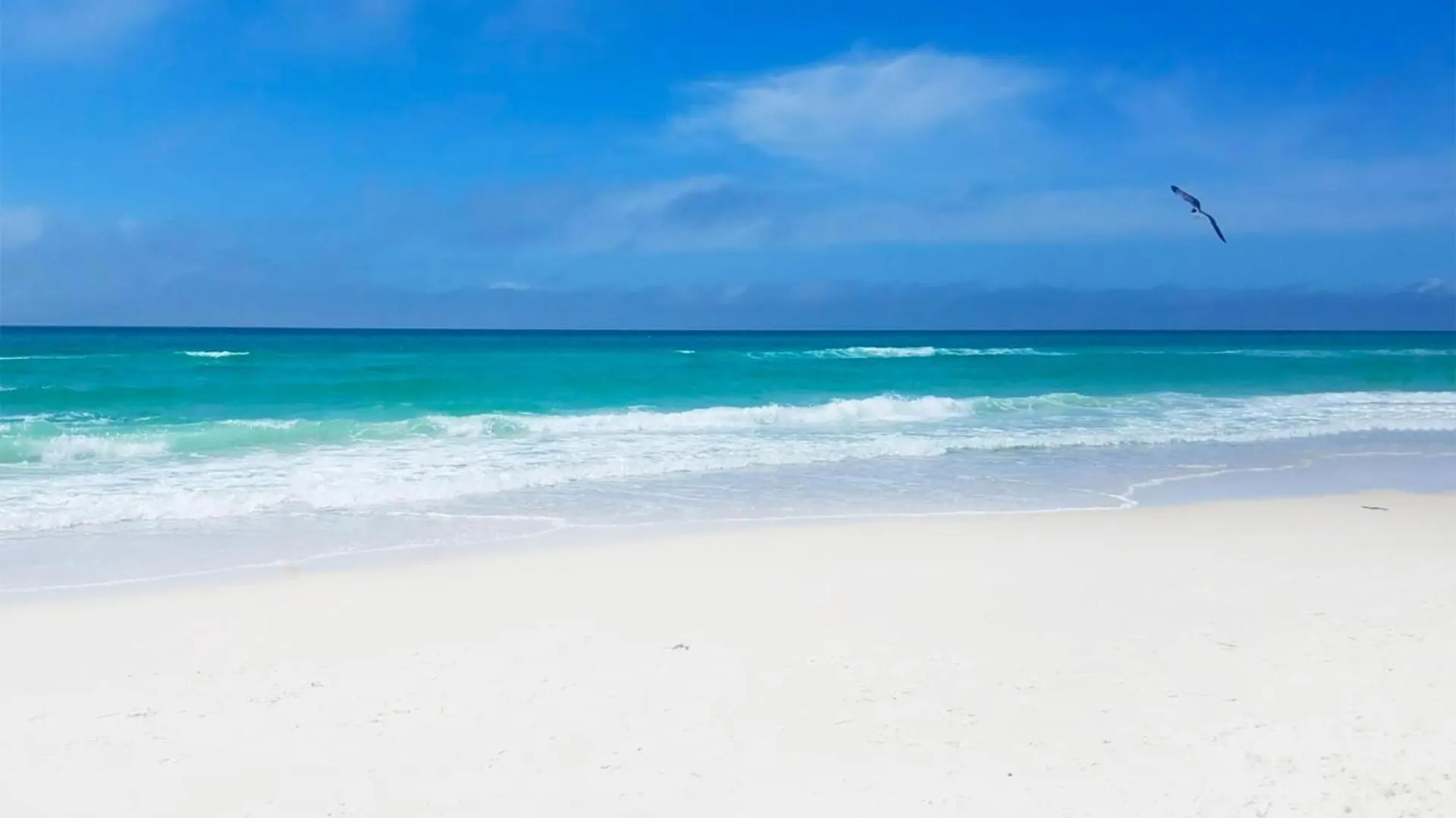 Laketown Wharf 1626 Panama City Beach Semesterbostad